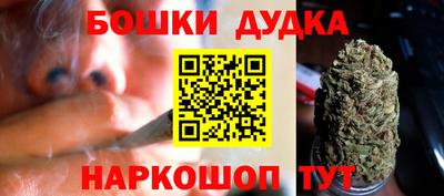 спиды Сланцы