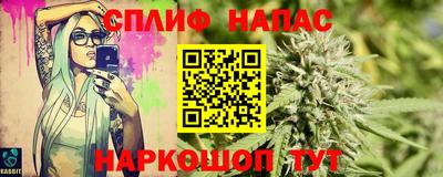 спиды Сланцы