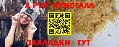 спиды Сланцы