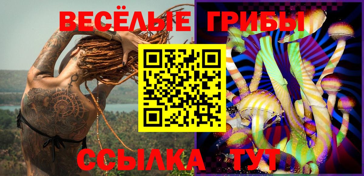 Галлюциногенные грибы прущие грибы Ногинск