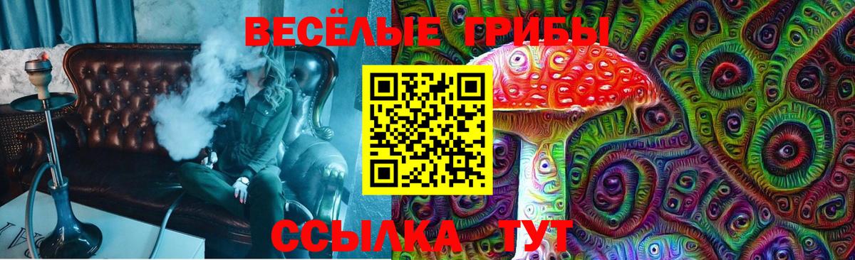 Ногинск  купить наркотик  Вход с VPN  Псилоцибиновые грибы Cubensis 